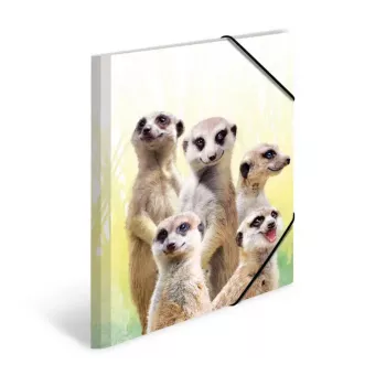 Conventional file folder HERMA Meerkat troop 19961