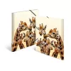 Conventional file folder HERMA Giraffe friends Polypropylene A3