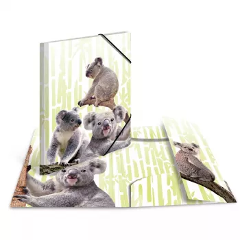 Conventional file folder HERMA Koalafamily A3