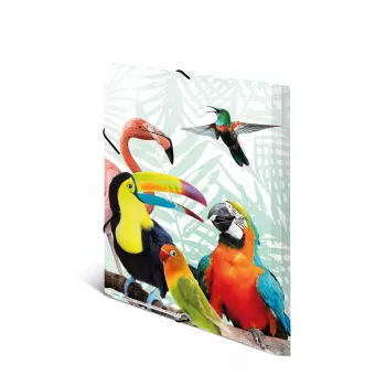 Conventional file folder HERMA Tropical clique A3
