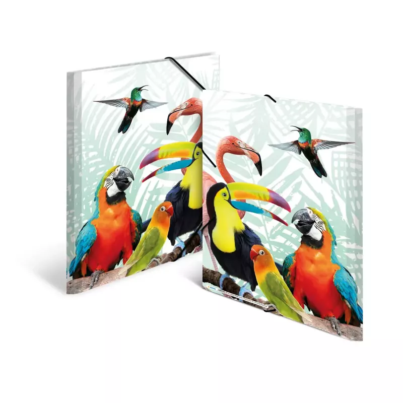 Conventional file folder HERMA Tropical clique A3