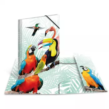 Conventional file folder HERMA Tropical clique A3