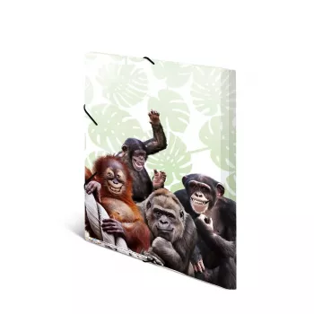 Conventional file folder HERMA Monkey gang Polypropylene A3