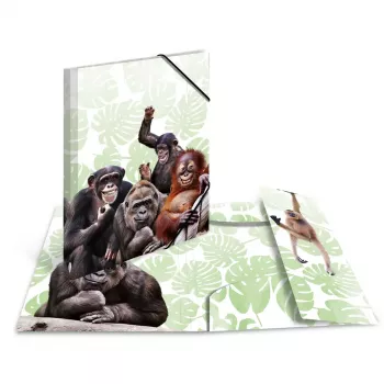 Conventional file folder HERMA Monkey gang Polypropylene A3