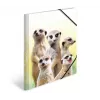 Conventional file folder HERMA Meerkat troop