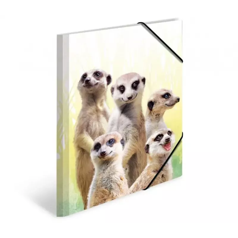 Conventional file folder HERMA Meerkat troop