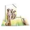 Conventional file folder HERMA Meerkat troop