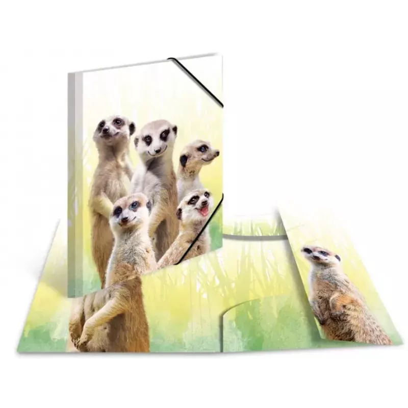 Conventional file folder HERMA Meerkat troop
