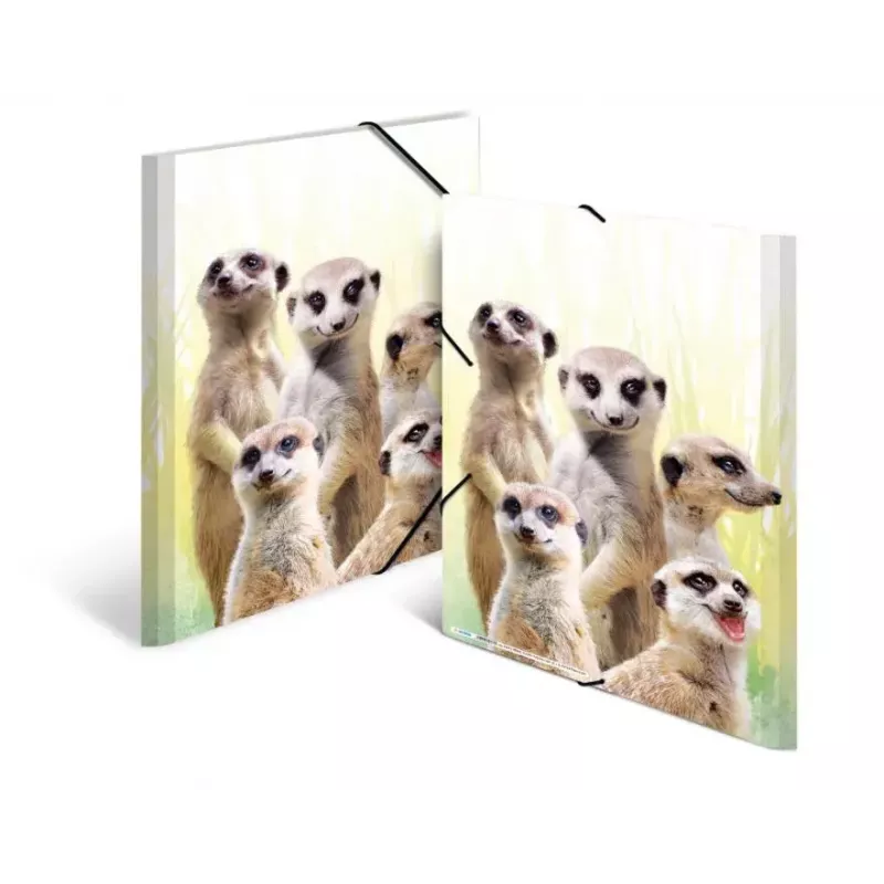 Conventional file folder HERMA Meerkat troop