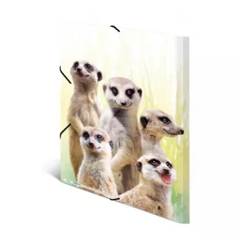 Conventional file folder HERMA Meerkat troop