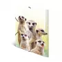 Conventional file folder HERMA Meerkat troop
