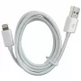 Lightning Cable 2GO 794888 1m White USB B