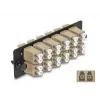 DeLOCK Fiber Optic Adapter Panel LC Duplex OM1 OM2 12 Port Beige