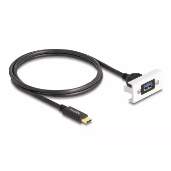 DeLOCK Easy 45 Module SuperSpeed USB 10 Gbps USB Type-A female to USB Type-C male