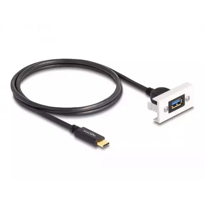 DeLOCK Easy 45 Module SuperSpeed USB 10 Gbps USB Type-A female to USB Type-C male