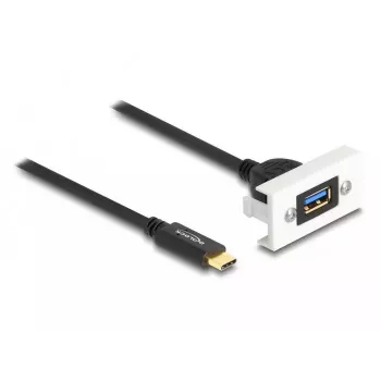 DeLOCK Easy 45 Module SuperSpeed USB 10 Gbps USB Type-A female to USB Type-C male