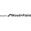 Sanding Sheets Bosch C430 Expert for Wood and Paint 10 pcs