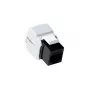 Keystone Jack ACT CAT6 Unshielded Tool Free Black TD6010