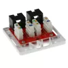 Surface mounted box 2-port CAT6 unshielded ACT FA6002, 29×61×29.5 mm