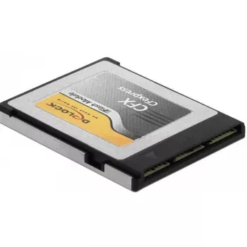 Solid State Drive DeLOCK 54064 64GB PCI Express NVMe