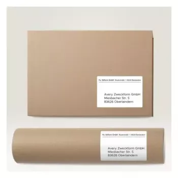 Self-adhesive printer label AVERY 6601 White 10.5x14.8 cm 260 labels
