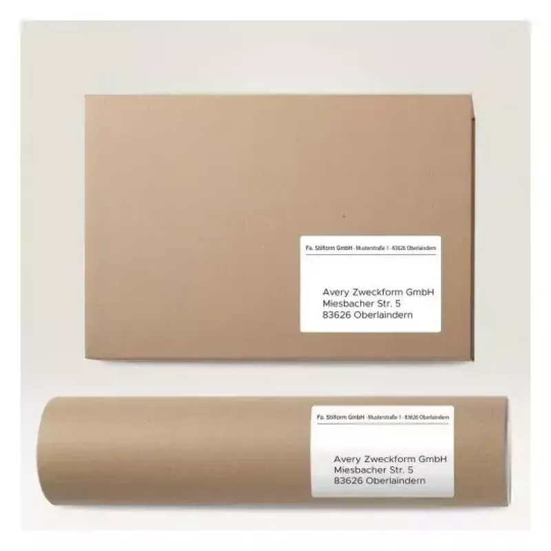 Self-adhesive printer label AVERY 6601 White 10.5x14.8 cm 260 labels