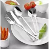 Knife/cutlery case set Esmeyer SOPHIE 60 pcs Stainless steel