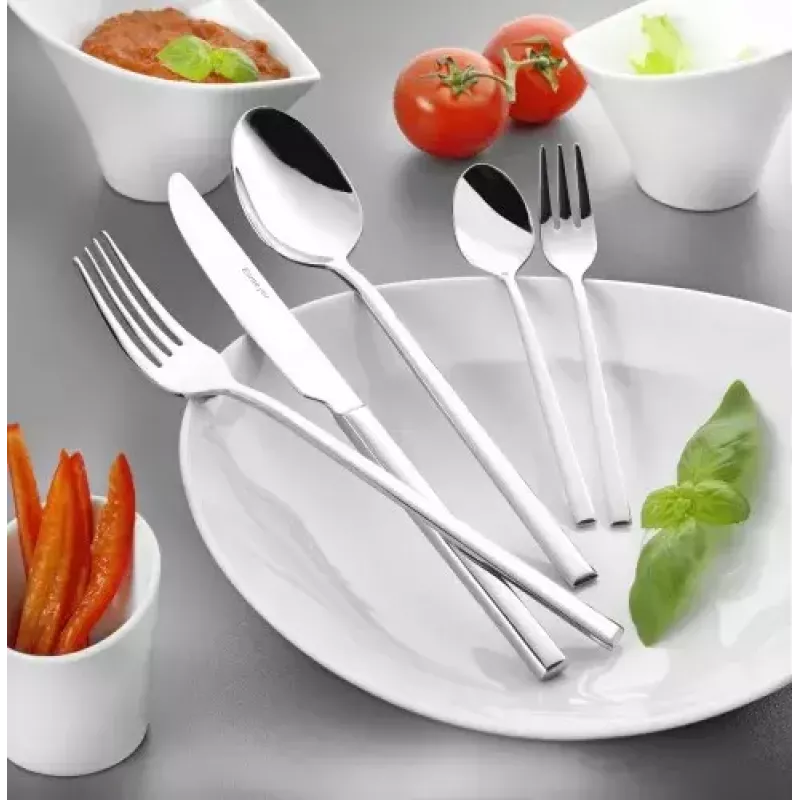 Knife/cutlery case set Esmeyer SOPHIE 60 pcs Stainless steel