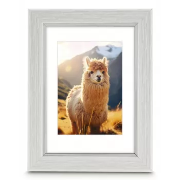 Hama Lima Single picture frame White