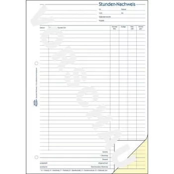 Accounting form/book AVERY 1773