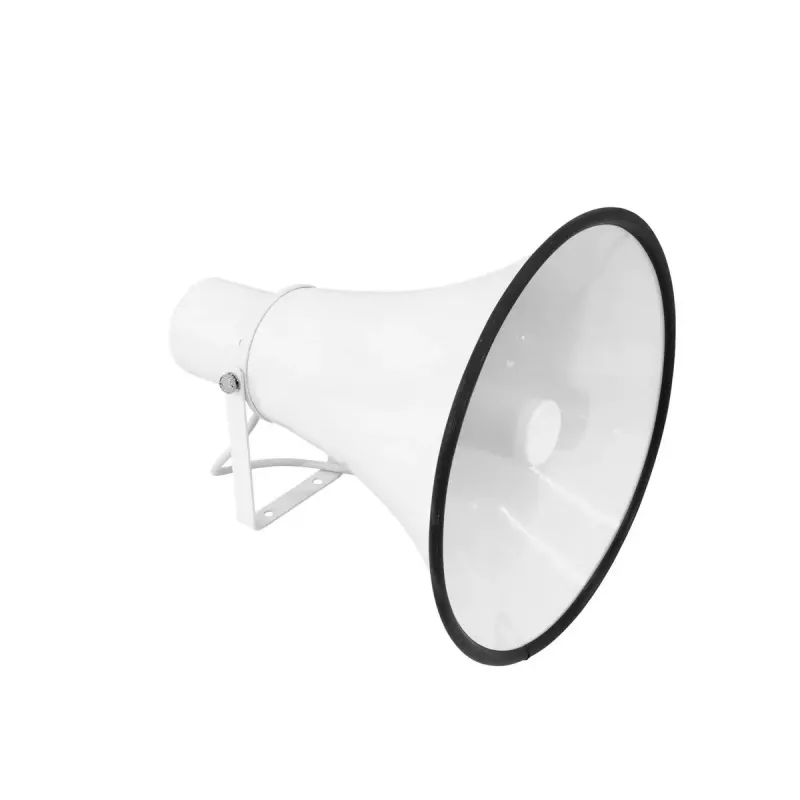 Loudspeaker Omnitronic 80710832 20 W