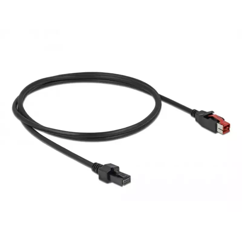 Powered USB cable DeLOCK 85950 24 V to 2 x 4 pin male 1 m