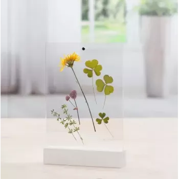 Single picture frame Hama Classic 00057743 Transparent White