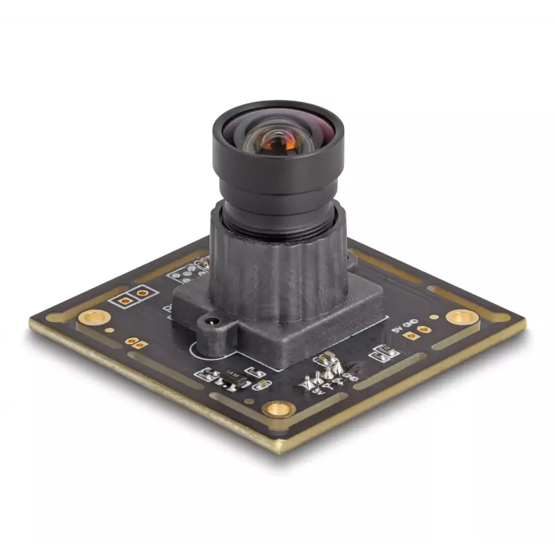 Webcam DeLOCK 12072 2.1 MP 1920 x 1080 USB 2.0 Black