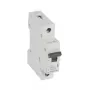 Legrand RX3 circuit breaker Miniature circuit breaker Type B 1