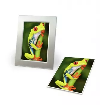Photo Paper Avery C2549-20P High-gloss