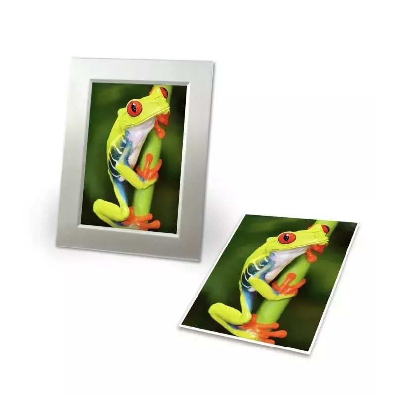 Photo Paper Avery C2549-20P High-gloss