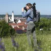 Hama Action Smart 165 3D tripod Smartphone/Digital camera 3 leg(s) Black