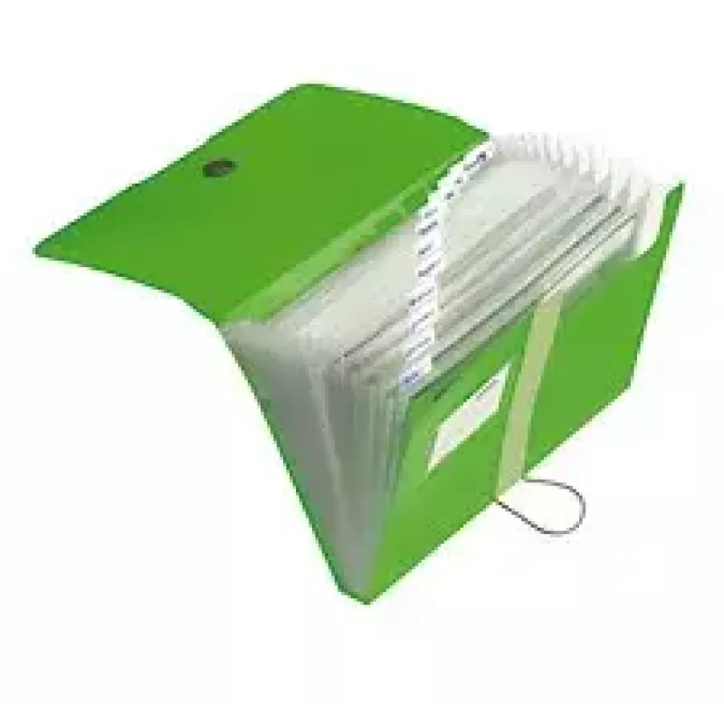 Folder Herlitz 11209517 Green