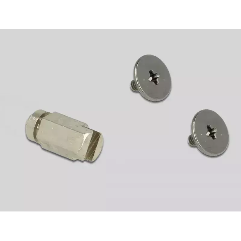 Internal M.2 Adapter DeLOCK 65699