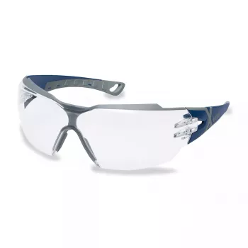 Safety glasses Uvex 9198257 Blue Grey
