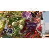 Bosch Serie 4 MSM4W421 blender Immersion blender 800 W Black, White