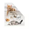 Magazine Rack HERMA Stehsammler Katzen A4 Yellow