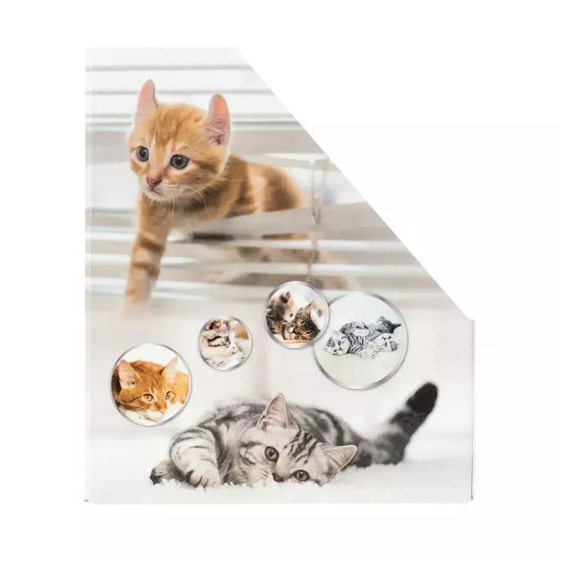 Magazine Rack HERMA Stehsammler Katzen A4 Yellow