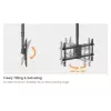 Ceiling mount for dual screens EQUIP 32 inch–60 inch (VESA 200x200–600x400, max 80 kg, swivel ±180°), black