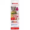 Felt pens Edding 4600 set — 5 colours (Black, Crimson, Orange, Pink, Red), bullet tip