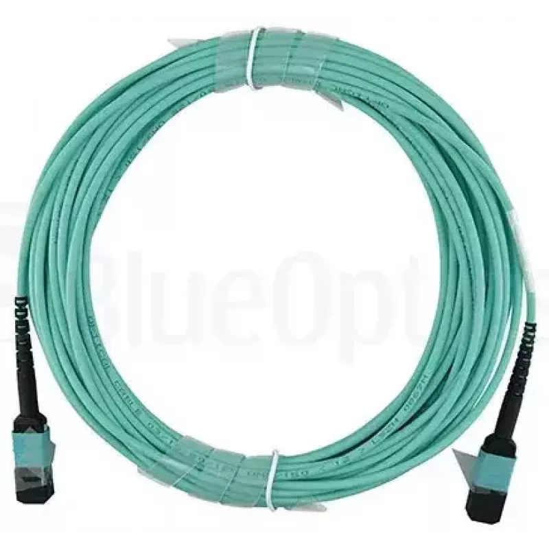 Fibre optic cable BlueOptics CBX-STC012BPF-MXXN-MXXN-020M-MTP OM4 20m Turquoise