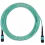 Fibre optic cable BlueOptics CBX-STC012BPF-MXXN-MXXN-020M-MTP OM4 20m Turquoise