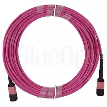 Fibre optic cable BlueOptics CBX-STC012BPF-MXXN-MXXN-001M-BO MTP OM4 1 m Pink