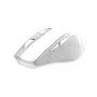 Trust Nito mouse Universal Right-hand RF Wireless Optical 2200 DPI